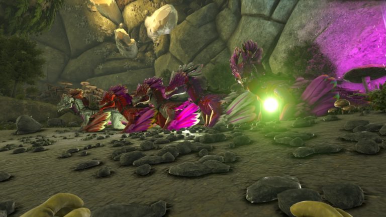 バレンタインカラーロックドレイク